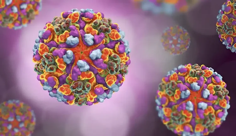 Παγκόσμια ανησυχία – Τι έιναι η νέα νόσος τσικουνγκούνια που εμφανίστηκε