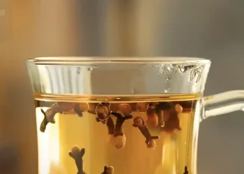 Αποκαλύπτοντας τα μυστικά του νερού με γαρίφαλο: Ένα νυχτερινό ελιξίριο υγείας