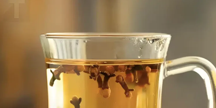 Αποκαλύπτοντας τα μυστικά του νερού με γαρίφαλο: Ένα νυχτερινό ελιξίριο υγείας