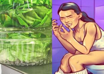 Προσοχή στις συσκευασμένες σαλάτες: Ένα παράσιτο μπορεί να σας αρρωστήσει για μήνες