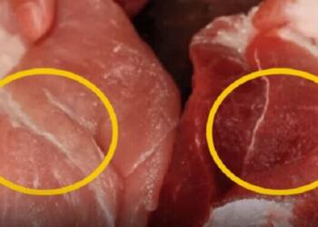 Όταν αγοράζετε χοιρινό κρέας πρέπει να διαλέγετε το σκούρο ή το ανοιχτόχρωμο. Η μεγάλη διαφορά που ελάχιστοι γνωρίζουν