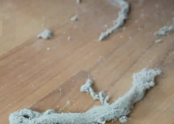 Η γιαγιά μου μού έμαθε αυτό το κóλπο για να απομακρύνω όλες τις τρίχες και τη σκόνη από το σπίτι μέσα σε μόλις 2 λεπτά χωρίς προσπάθεια