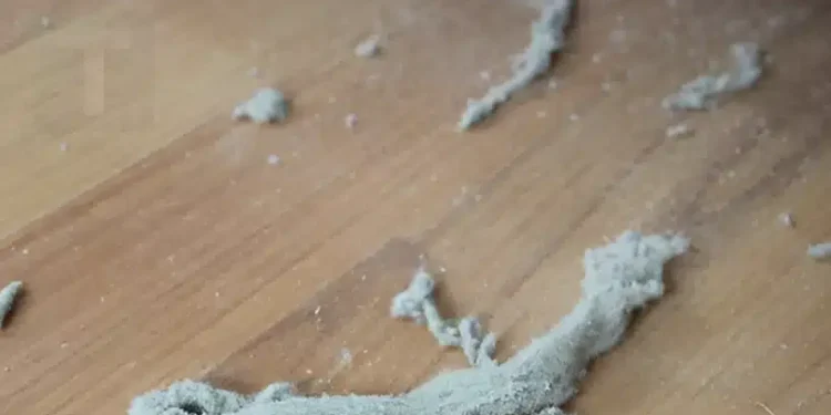 Η γιαγιά μου μού έμαθε αυτό το κóλπο για να απομακρύνω όλες τις τρίχες και τη σκόνη από το σπίτι μέσα σε μόλις 2 λεπτά χωρίς προσπάθεια