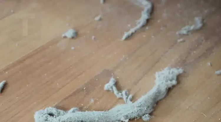 Η γιαγιά μου μού έμαθε αυτό το κóλπο για να απομακρύνω όλες τις τρίχες και τη σκόνη από το σπίτι μέσα σε μόλις 2 λεπτά χωρίς προσπάθεια