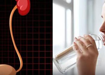 Η νεφρική ανεπάρκεια είναι «σιωπηλή», θυμηθείτε να κάνετε αυτό για να την προλάβετε