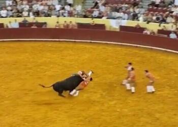 Ταύρος σκότωσε 22χρονο ταυρομάχο στην αρένα – Η σοκαριστική στιγμή