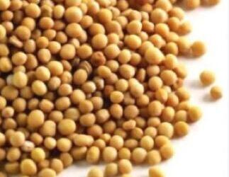 Κανένας άλλος σπόρος δεν έχει τόσα οφέλη για την υγεία