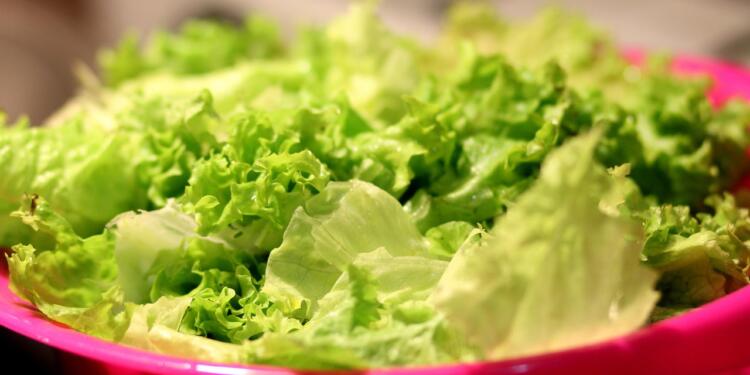food, salad, nature, lettuce, healthy, vegetables, green, leaves, lettuce leaves, organic, fresh, produce