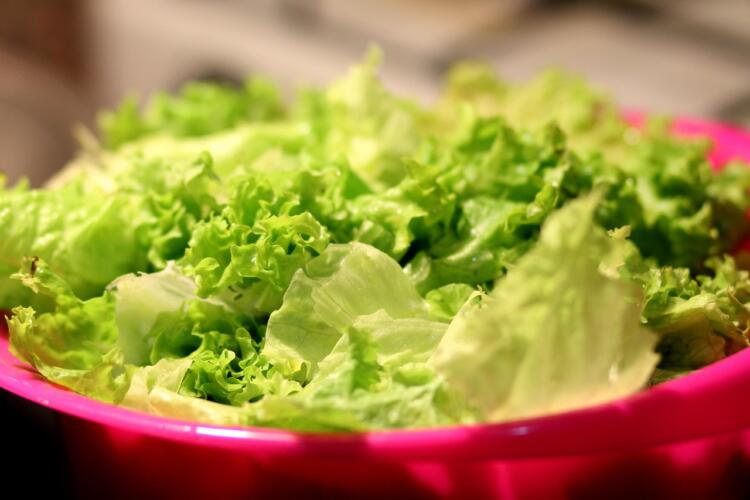 food, salad, nature, lettuce, healthy, vegetables, green, leaves, lettuce leaves, organic, fresh, produce