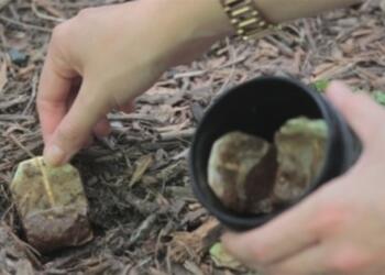 15 χρήσεις για τα φακελάκια του τσαγιού που δεν γνωρίζατε.