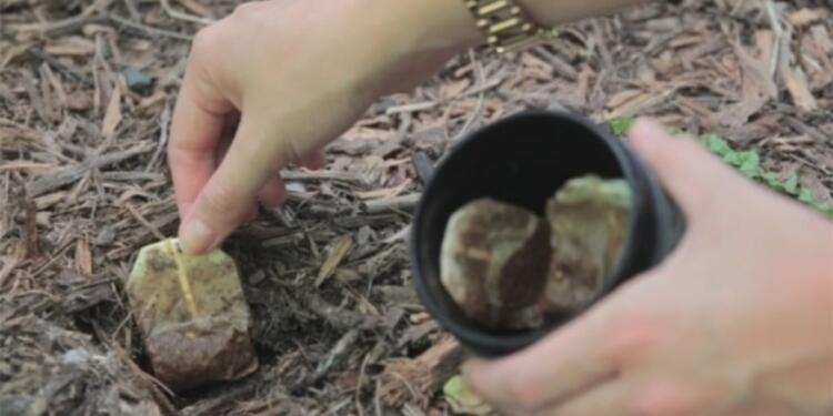 15 χρήσεις για τα φακελάκια του τσαγιού που δεν γνωρίζατε.