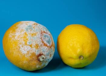 Τι είναι αλλαντίαση που έχει σκορπίσει τον θάνατο στην Ιταλία: Η τροφική δηλητηρίαση που σκοτώνει σιωπηλά