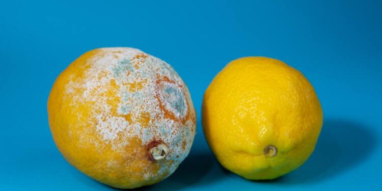 Τι είναι αλλαντίαση που έχει σκορπίσει τον θάνατο στην Ιταλία: Η τροφική δηλητηρίαση που σκοτώνει σιωπηλά