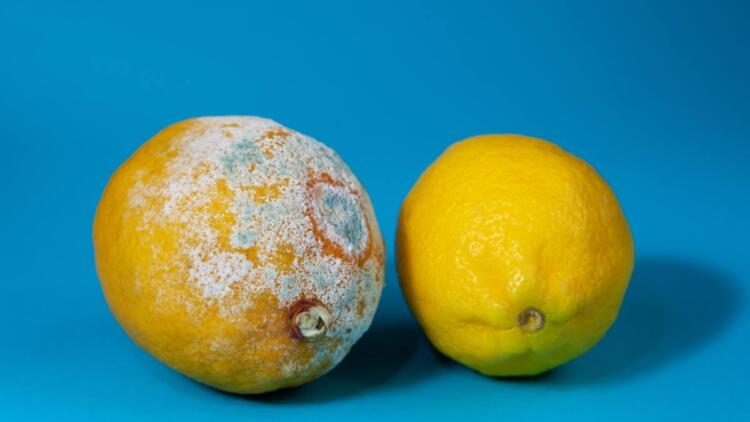 Τι είναι αλλαντίαση που έχει σκορπίσει τον θάνατο στην Ιταλία: Η τροφική δηλητηρίαση που σκοτώνει σιωπηλά