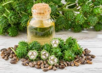 Καστορέλαιο στα πόδια: Το κόλπο που χρησιμοποιούν όλοι άνω των 65