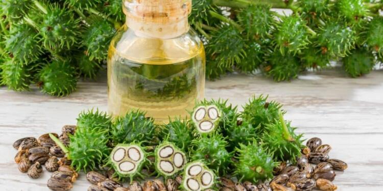 Καστορέλαιο στα πόδια: Το κόλπο που χρησιμοποιούν όλοι άνω των 65