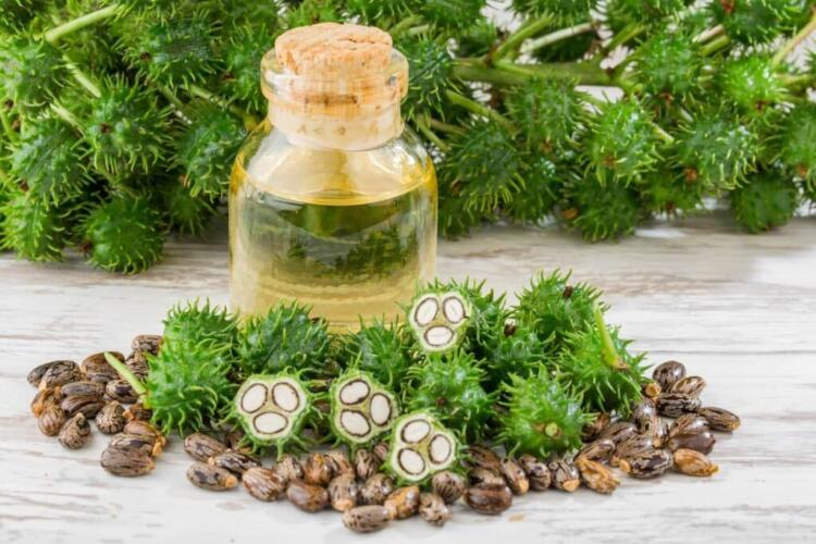 Καστορέλαιο στα πόδια: Το κόλπο που χρησιμοποιούν όλοι άνω των 65