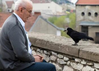 Νόμιζε πως τάιζε απλώς ένα πουλί, αλλά αυτό που του έφερε ο κόρακας ένα χρόνο μετά, του ζέστανε την καρδιά