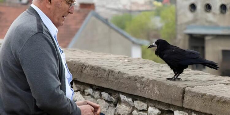 Νόμιζε πως τάιζε απλώς ένα πουλί, αλλά αυτό που του έφερε ο κόρακας ένα χρόνο μετά, του ζέστανε την καρδιά