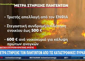 Φωτιές: Τα μέτρα ενίσχυσης των πυρόπληκτων – «Καταστράφηκα, τελείωσα», λένε οι κάτοικοι της Χίου