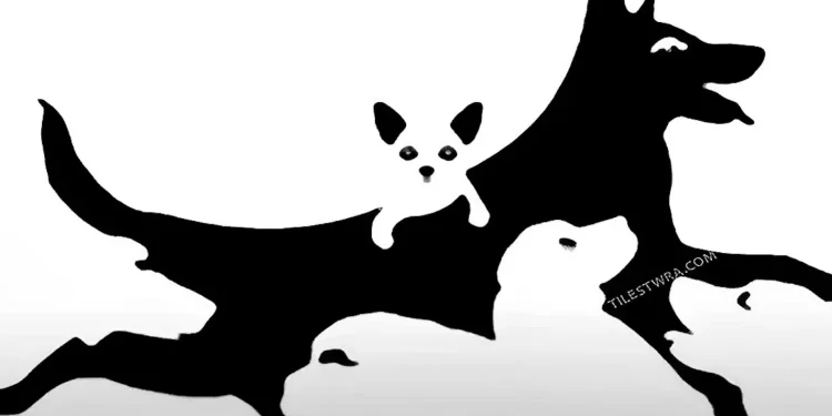 Πόσα σκυλιά βλέπετε στην εικόνα; Μεγάλη δοκιμασία για την ψυχική σας ηλικία