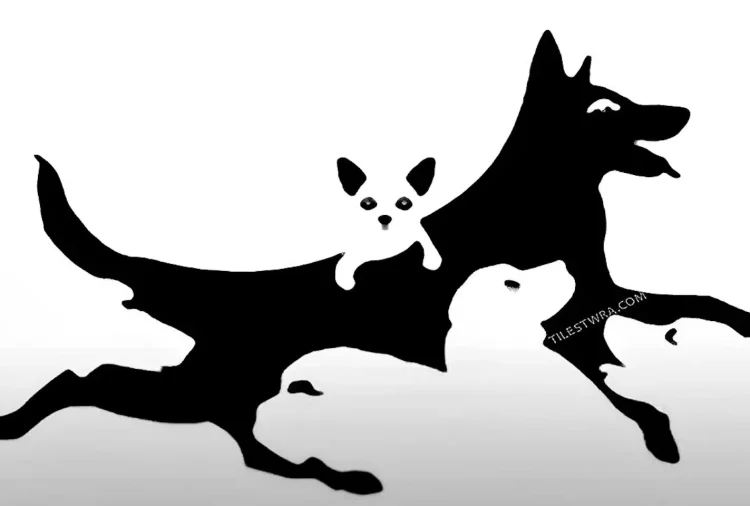 Πόσα σκυλιά βλέπετε στην εικόνα; Μεγάλη δοκιμασία για την ψυχική σας ηλικία