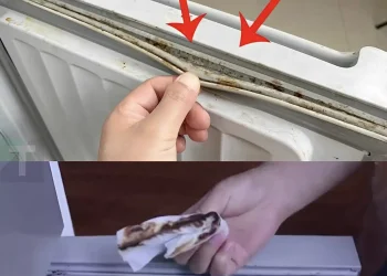 Πώς να καθαρίσετε γρήγορα και αποτελεσματικά τις μουχλιασμένες φλάντζες του ψυγείου σε μόλις 5 λεπτά