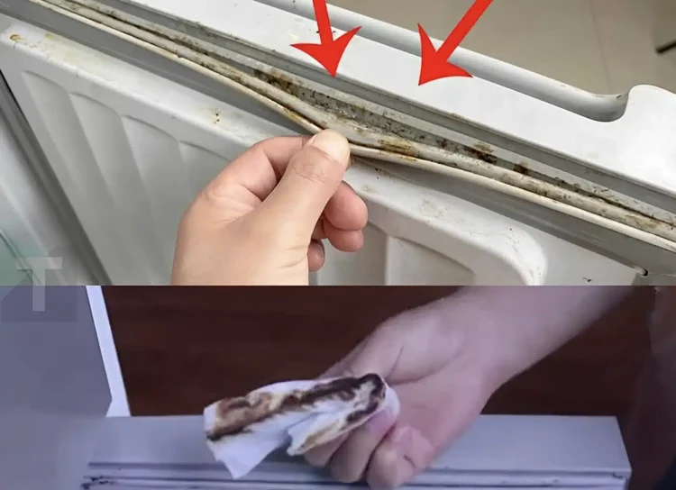 Πώς να καθαρίσετε γρήγορα και αποτελεσματικά τις μουχλιασμένες φλάντζες του ψυγείου σε μόλις 5 λεπτά