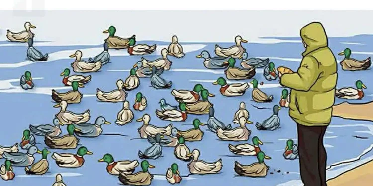 Αν μπορείτε να εντοπίσετε τι δεν πάει καλά σε αυτή τη φωτογραφία, είστε διάνοιες