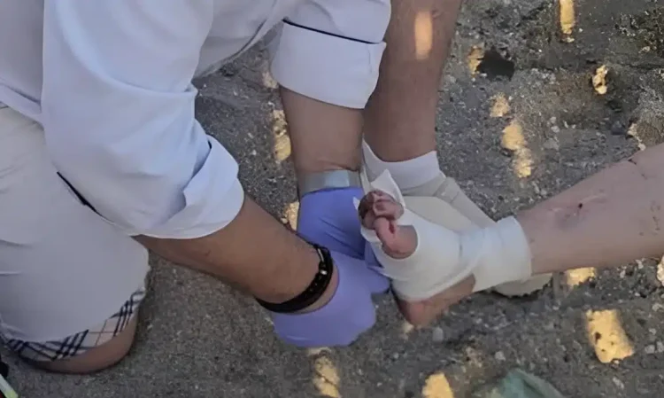 Tpόμος σε παραλία της Αττικής – Θαλάσσια χελώνα έκοψε δάχτυλο γυναίκας και επιτέθηκε σε άλλους δύο λουόμενους