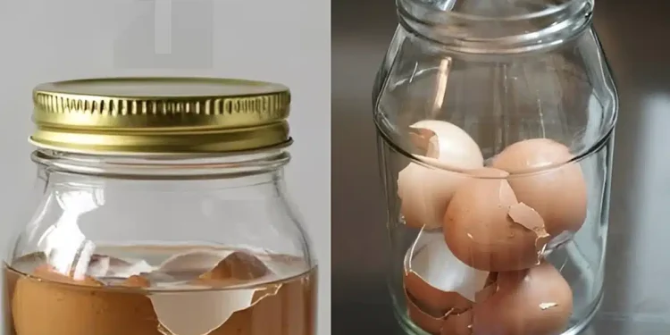 Τσόφλια αυγών – μην τα πετάτε: βάλτε τα σε ζεστό νερό και δείτε τι θα συμβεί