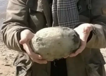 Ζευγάρι έμεινε άφωνο μετά την ανακάλυψη «περίεργης πέτρας» στην παραλία – Μπορεί να αξίζει 60.000 εupώ