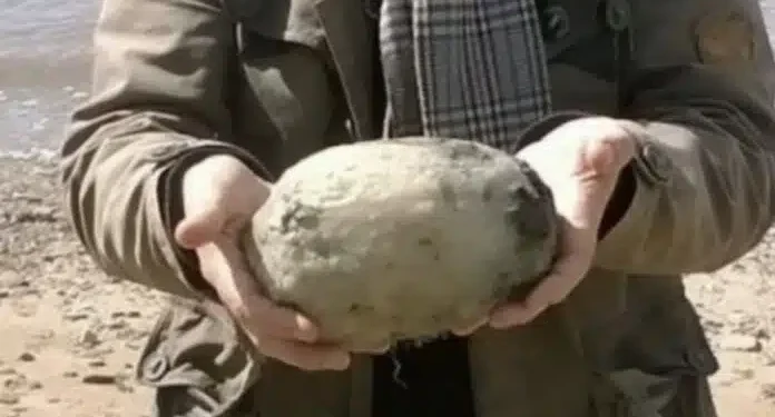 Ζευγάρι έμεινε άφωνο μετά την ανακάλυψη «περίεργης πέτρας» στην παραλία – Μπορεί να αξίζει 60.000 εupώ