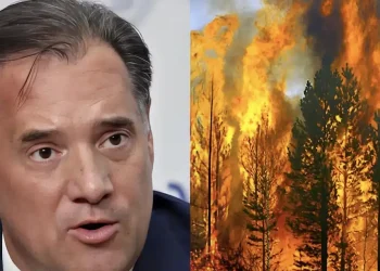 Γεωργιάδης: «Τα δάση καίγονται από την… ίδρυσή τους, είναι μια φυσική διαδικασία»