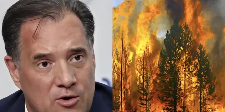 Γεωργιάδης: «Τα δάση καίγονται από την… ίδρυσή τους, είναι μια φυσική διαδικασία»