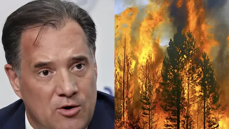 Γεωργιάδης: «Τα δάση καίγονται από την… ίδρυσή τους, είναι μια φυσική διαδικασία»