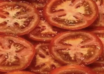 Η κατανάλωση ντοματών: Σύμμαχος για την υγεία σας και την κουζίνα σας