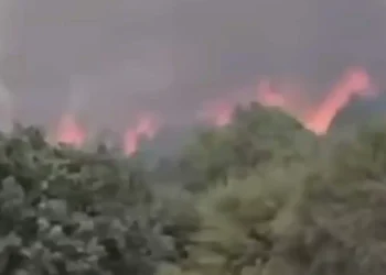 ΕΚΤΟΣ ΕΛΕΓΧΟΥ Η ΦΩΤΙΑ: ΚΤΗΝΟΤΡΟΦΟΙ ΑΠΟΜΑΚΡΥΝΟΥΝ ΤΑ ΖΩΑ ΤΟΥΣ – ΕΝΙΣΧΥΘΗΚΑΝ ΟΙ ΔΥΝΑΜΕΙΣ