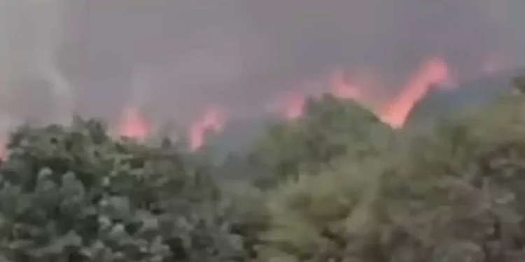 ΕΚΤΟΣ ΕΛΕΓΧΟΥ Η ΦΩΤΙΑ: ΚΤΗΝΟΤΡΟΦΟΙ ΑΠΟΜΑΚΡΥΝΟΥΝ ΤΑ ΖΩΑ ΤΟΥΣ – ΕΝΙΣΧΥΘΗΚΑΝ ΟΙ ΔΥΝΑΜΕΙΣ