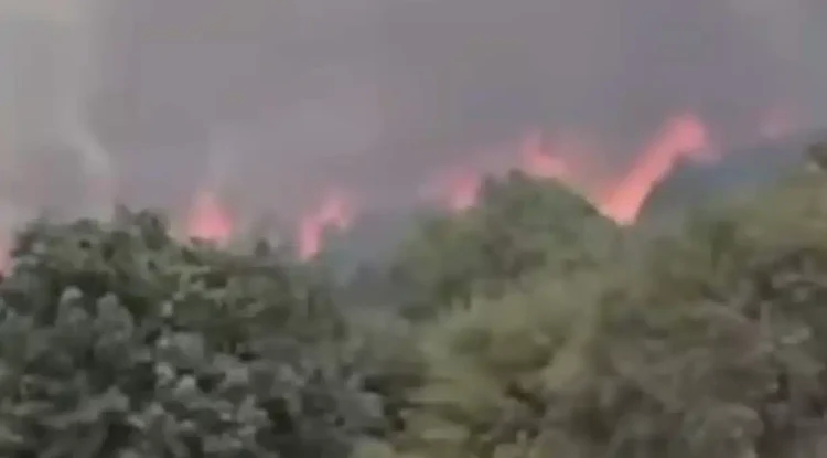 ΕΚΤΟΣ ΕΛΕΓΧΟΥ Η ΦΩΤΙΑ: ΚΤΗΝΟΤΡΟΦΟΙ ΑΠΟΜΑΚΡΥΝΟΥΝ ΤΑ ΖΩΑ ΤΟΥΣ – ΕΝΙΣΧΥΘΗΚΑΝ ΟΙ ΔΥΝΑΜΕΙΣ