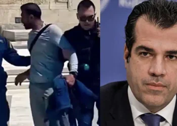 Μετανάστης επιτέθηκε σε Εύζωνες – Έξαλλος ο Θάνος Πλεύρης τον στέλνει πίσω στην χώρα του