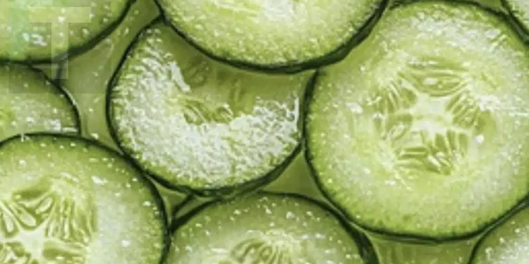 Οι επιστήμονες αποκαλύπτουν ότι η κατανάλωση αγγουριού προκαλεί…