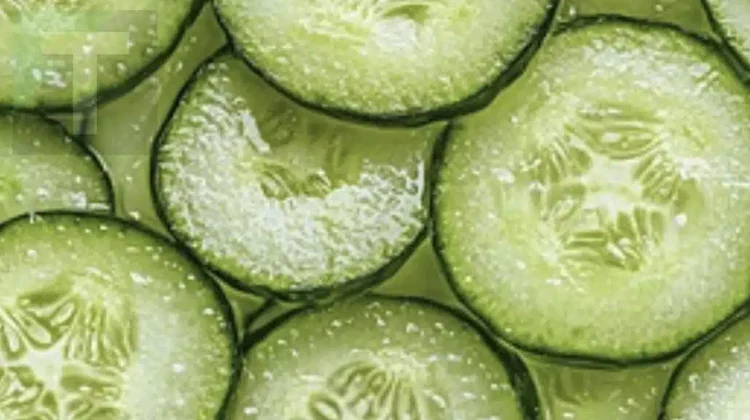 Οι επιστήμονες αποκαλύπτουν ότι η κατανάλωση αγγουριού προκαλεί…