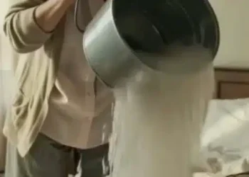 Η πεθερά μου μου έριξε έναν κουβά με νερό για να με ξυπνήσει, αλλά δεν περίμενε τέτοια τροπή των γεγονότων.