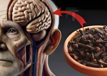 Γαρίφαλο: Ένας σύμμαχος για την υγεία του εγκεφάλου σας