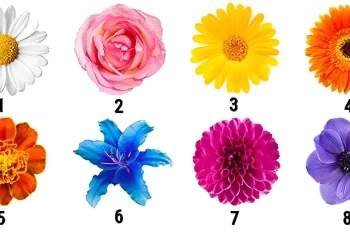 Διαλέξτε λουλούδι και αυτό θα αποκαλύψει το πιο σημαντικό χαρακτηριστικό του χαρακτήρα σας