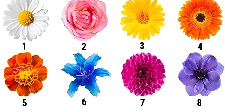 Διαλέξτε λουλούδι και αυτό θα αποκαλύψει το πιο σημαντικό χαρακτηριστικό του χαρακτήρα σας