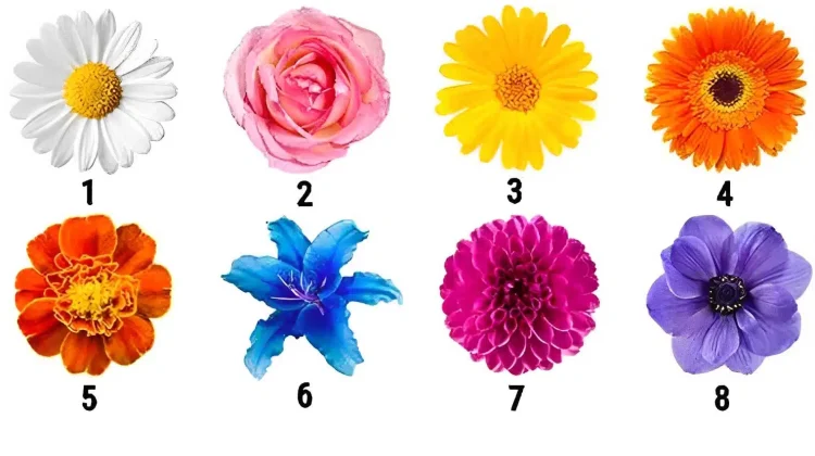 Διαλέξτε λουλούδι και αυτό θα αποκαλύψει το πιο σημαντικό χαρακτηριστικό του χαρακτήρα σας