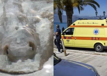 «Πάγωσαν» λουόμενοι στο Αγρίνιο: Έκανε βουτιά και ξαφνικά άρχισε να ουρλιάζει από πόνο, μόλις είδαν τι την τσίμπησε