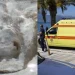 «Πάγωσαν» λουόμενοι στο Αγρίνιο: Έκανε βουτιά και ξαφνικά άρχισε να ουρλιάζει από πόνο, μόλις είδαν τι την τσίμπησε